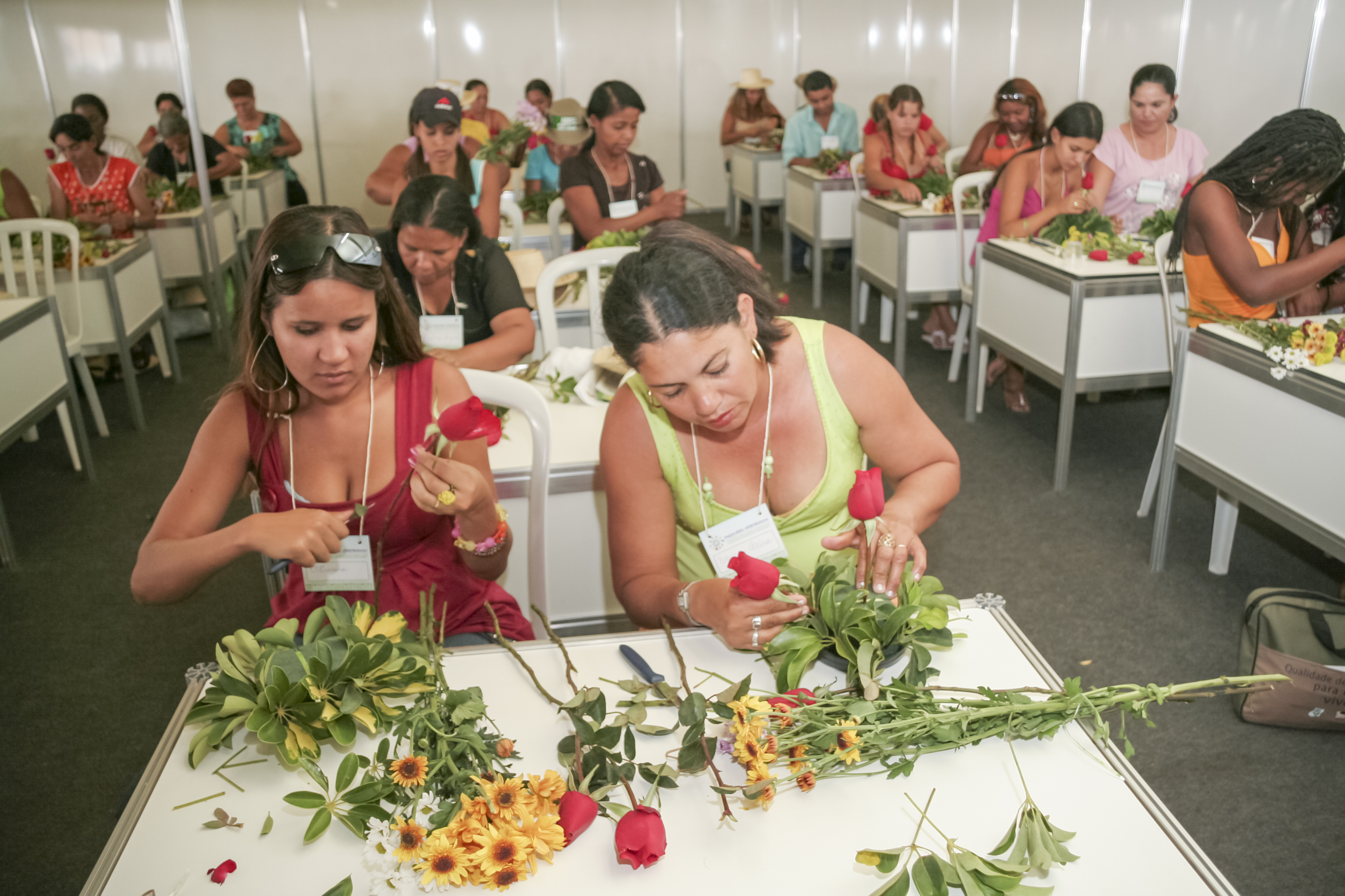 CETT-UFG tem projeto aprovado em programa do Fundo Social Caixa voltado à autonomia feminina